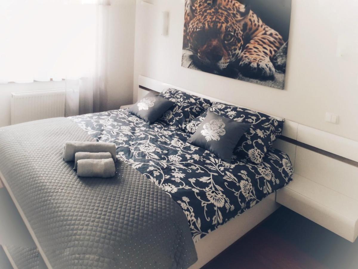 Appartamento Apartament Sloneczny Ełk Esterno foto